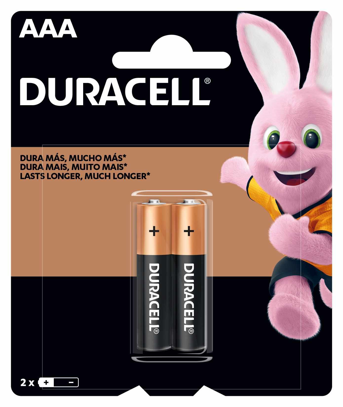 PILHA DURACELL PALITO AAA COM 2 UNIDADES                                                            